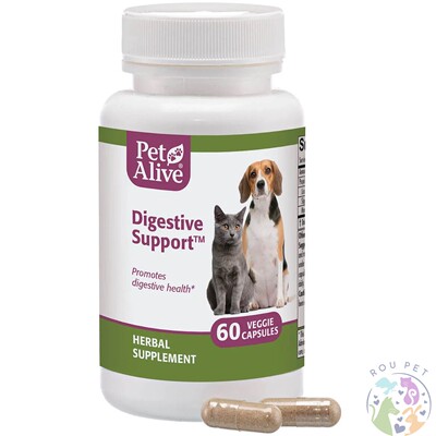 美国Pet Alive Digestive Support消化系統寵物健康猫狗肠道 60粒