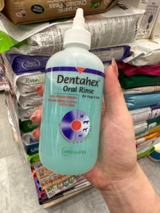 港购 美国VETOQUINOL Dentahex 獸醫配方潔牙水237ml