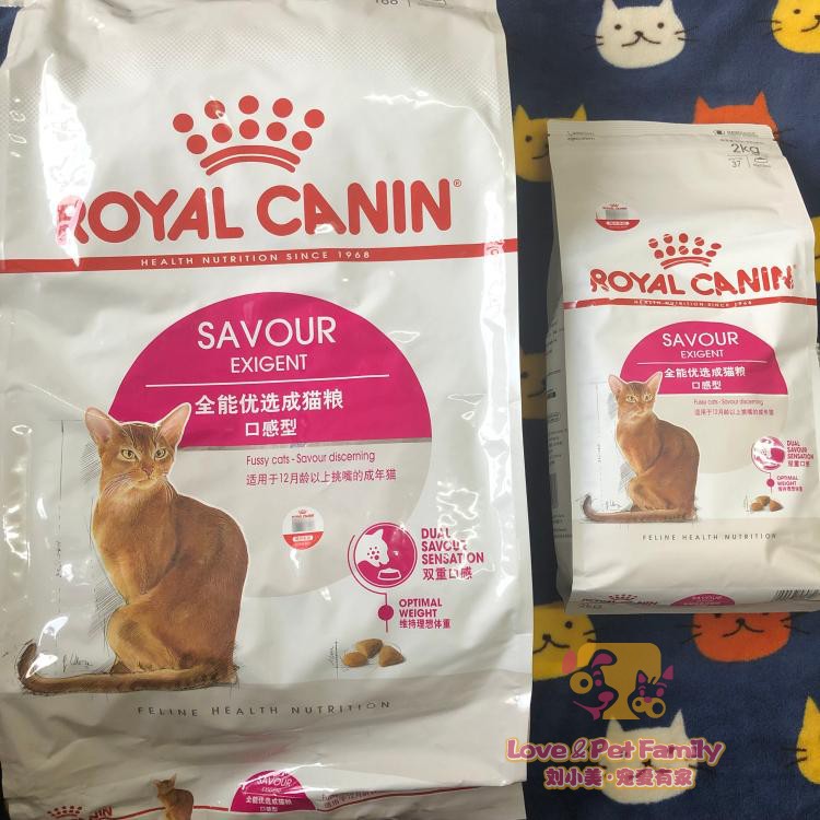 皇家英短挑嘴成猫包邮