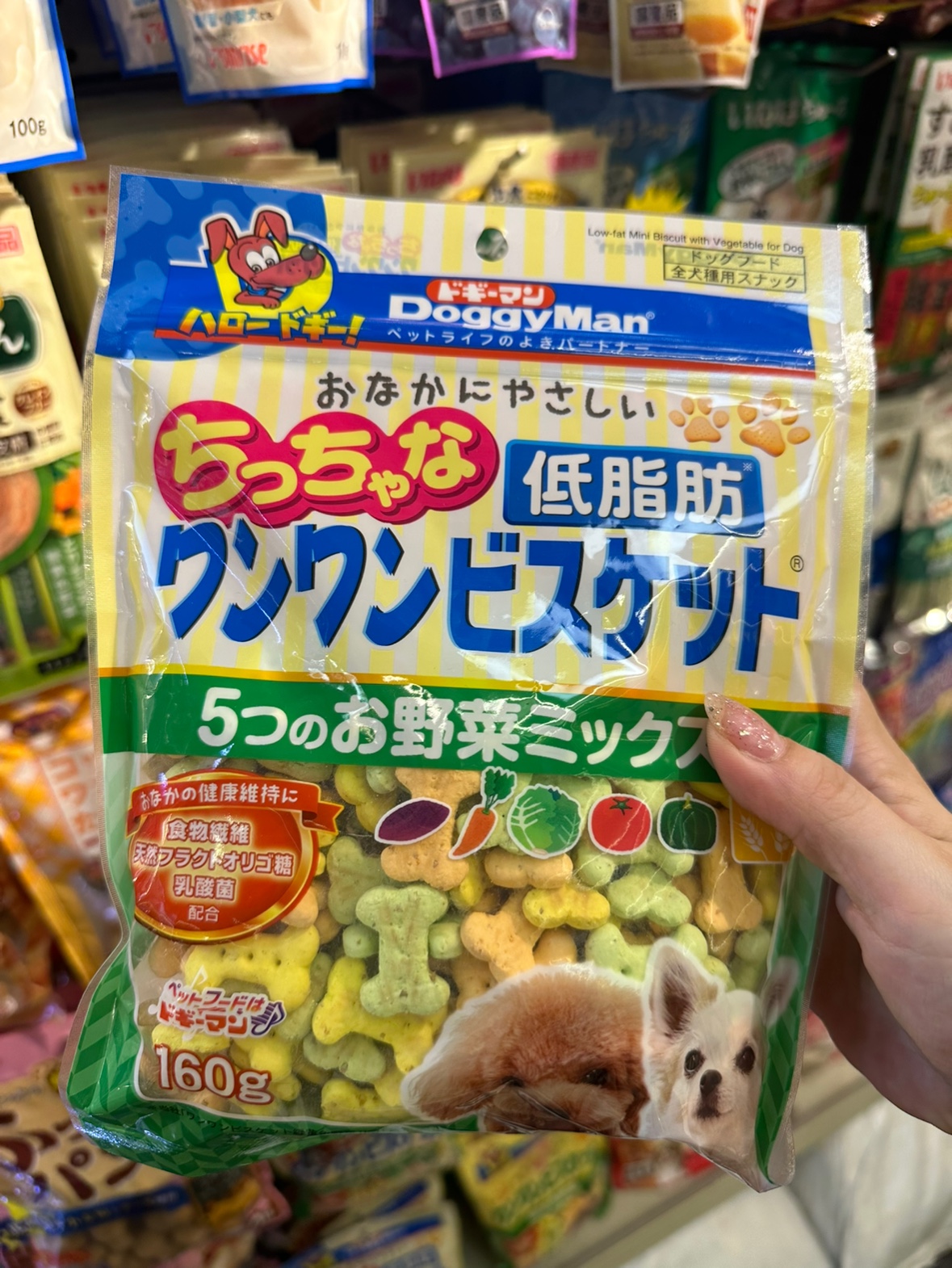 港购 日本Doggyman多格漫 绿黄色蔬菜 骨形小饼干 160g