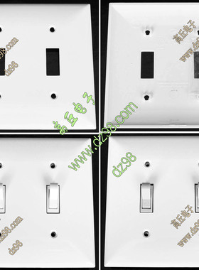 DZA612 115x117 白色 2位 2开 墙壁 开关 面板 家装面板 美标