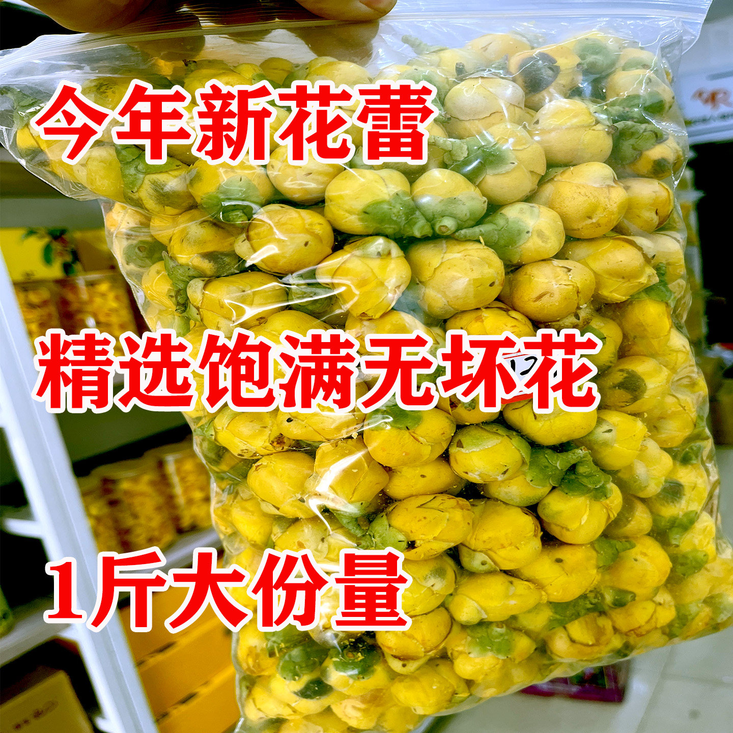 含苞欲放金花茶花蕾500克