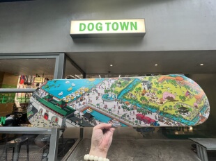 DOGTOWN玄武湖卡通地标印花南京艺术滑板板面装饰滑板板面