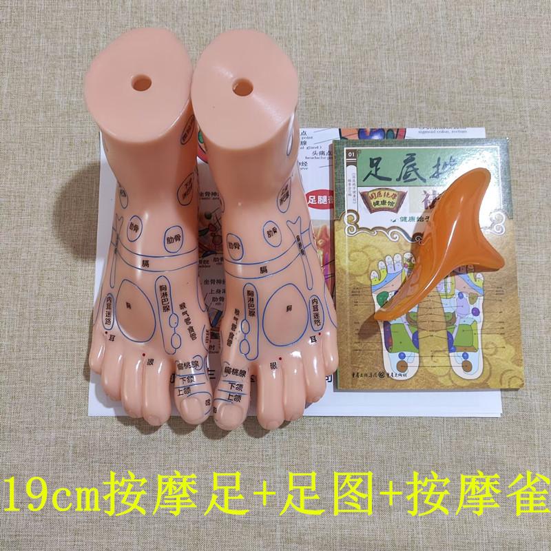 脚部脚丫子足疗保健点穴按摩家用