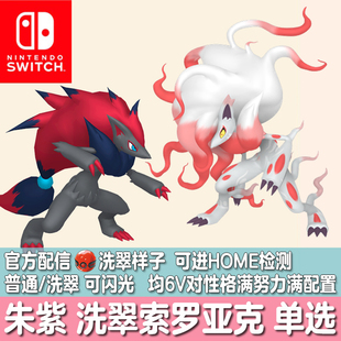 switch宝可梦HOME朱紫DLC官方配信洗翠闪光精灵定制洗翠索罗亚克