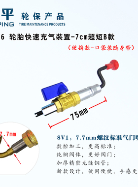 世平10216轮胎快速充气装置7cm便携式B款加气杆打气嘴长开丝接气
