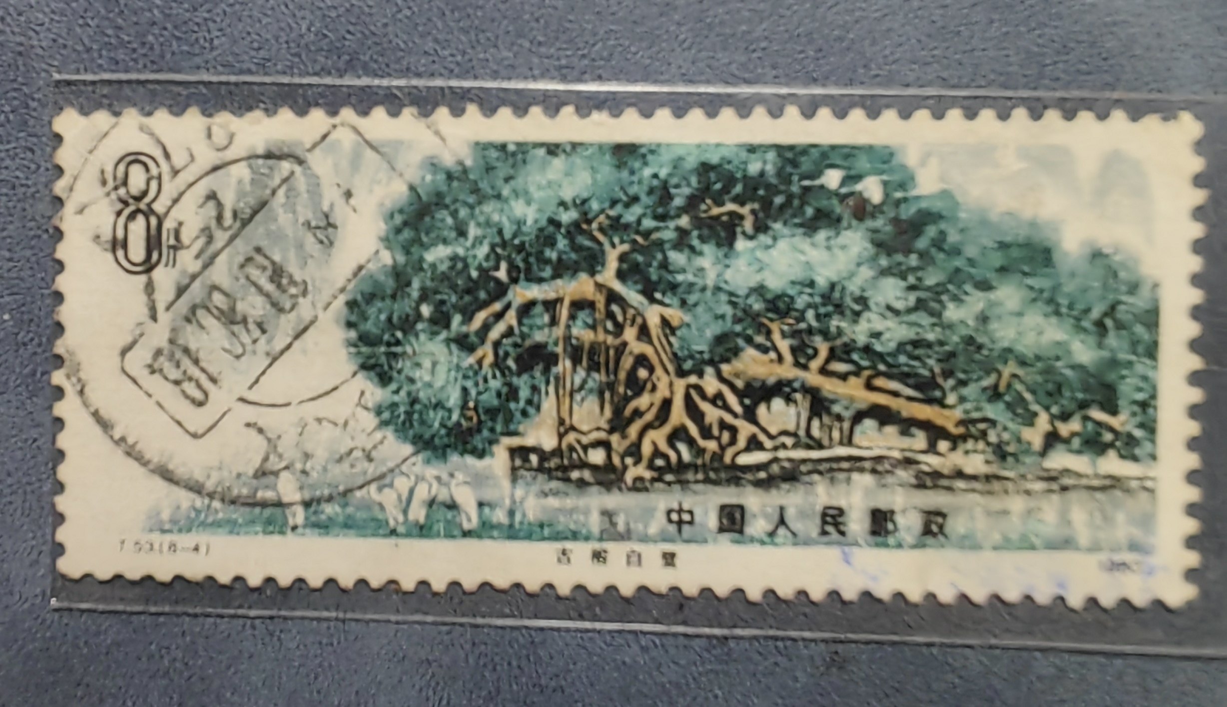 t53 桂林山水(8-4) 邮票 信销票 清晰大戳 面小露5