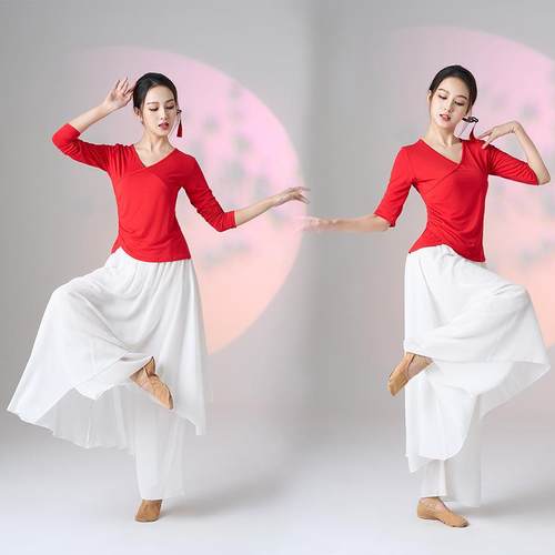 古典舞蹈服套装飘逸民族舞练功演出舞蹈服广场舞新款莫代尔上衣