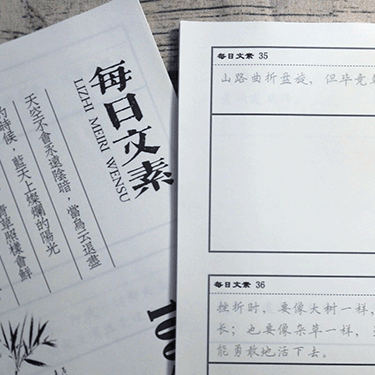 钢笔日课楷书学生散页大本