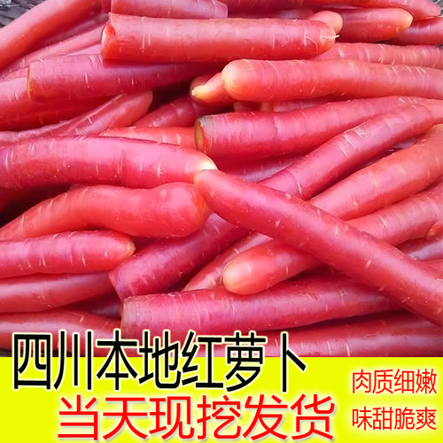 正宗四川新鲜红萝卜农家特产胡萝卜新鲜水果萝卜蔬菜宝宝辅食萝卜