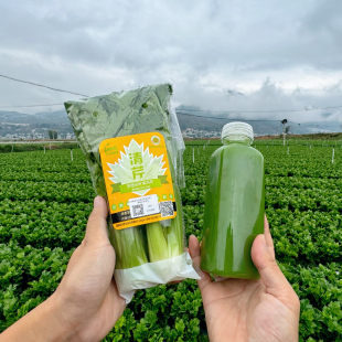新鲜果蔬鲜嫩脆双十一狂欢 高原水果清芹生吃西芹当季 立农维康