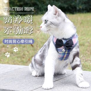 猫咪牵引绳可调节遛猫绳可爱幼猫外出专用蝴蝶结胸背带小型犬宠物