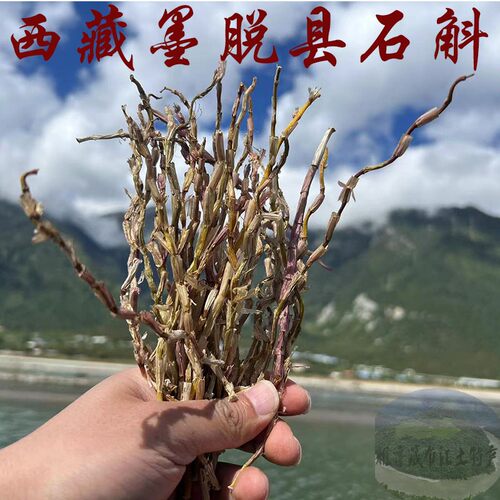 西藏直发50克包邮石斛干条 西藏林芝天然石斛  铁皮石斛 墨脱石斛