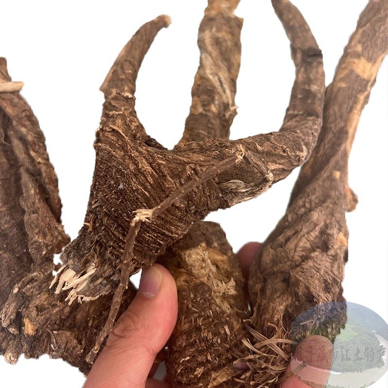 250g包邮 西藏林芝纯野生当归 藏当归  西藏当归头 当归中药材