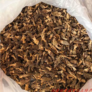 西藏直发50克包邮 西藏野生羊肚菌 羊肚菌  每个都独特 真正好货
