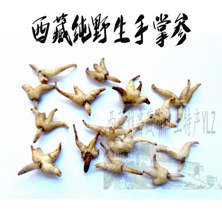 西藏直发50g仅售65元包邮 西藏林芝野生手掌参 佛手参 自然晒干