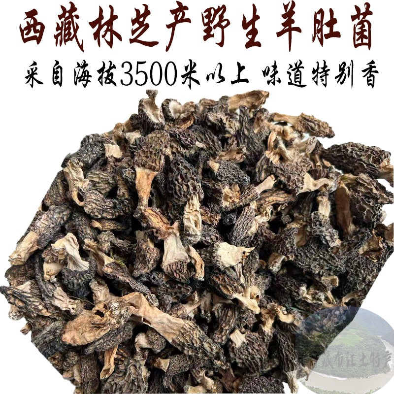 西藏直发50克包邮 西藏野生羊肚菌 羊肚菌  每个都独特 真正好货