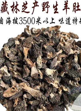西藏直发50克包邮 西藏野生羊肚菌 羊肚菌  每个都独特 真正好货