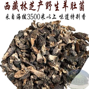 西藏直发50克包邮 西藏野生羊肚菌 羊肚菌  每个都独特 真正好货