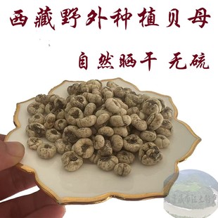 西藏直发50克包邮 西藏林芝野外种植贝母 藏贝 川贝 可以打粉