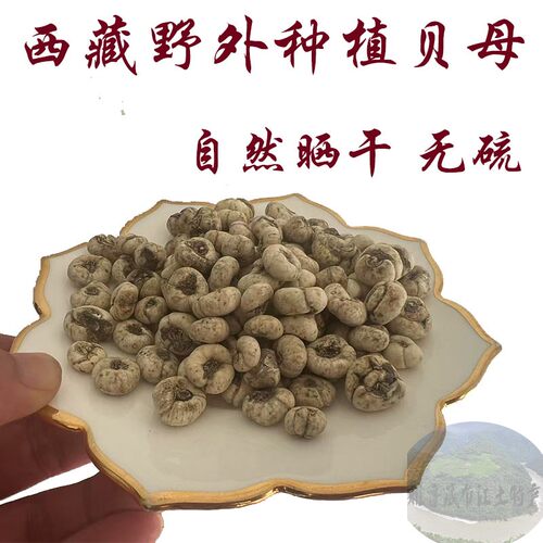 西藏直发50克包邮 西藏林芝野外种植贝母 藏贝 川贝 可以打粉