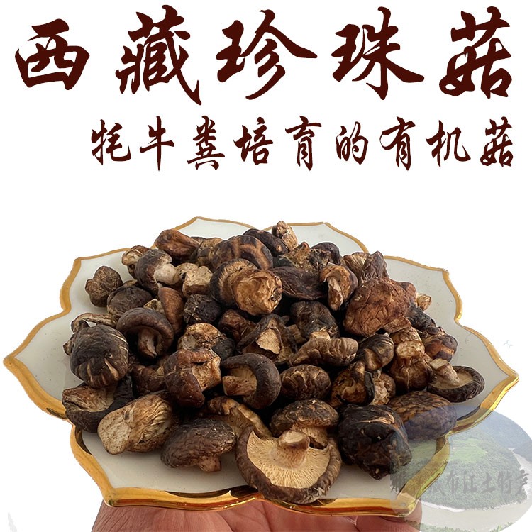 西藏直发500克包邮 珍珠菇 西藏珍珠菇 特级干小香菇 小香菇干