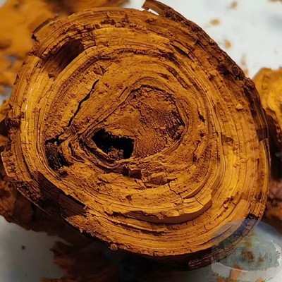 西藏天然牦牛牛黄 1克 正品支持验货 下单前先联系卖家 天然牛黄