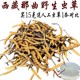 冬虫夏草野生 西藏顺丰 西藏那曲虫草 5克 纯野生虫草童叟无欺 包邮