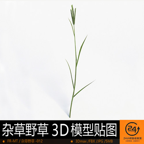 杂草野草-012模型3DMAX环境效果图影视游戏次世代场景地形建模