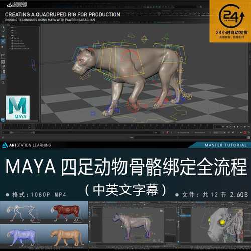 精翻中英文-MAYA专业级四足动物骨骼绑定全流程独家技巧影视游戏