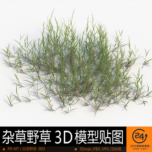 杂草野草-003模型3DMAX环境效果图影视游戏次世代场景地形建模