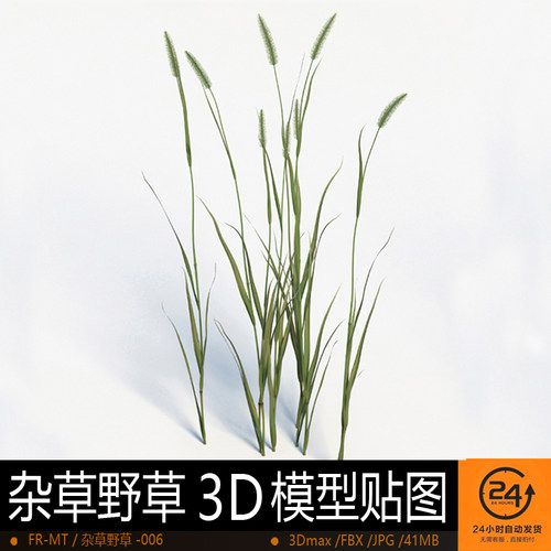 杂草野草-006模型3DMAX环境效果图影视游戏次世代场景地形建模