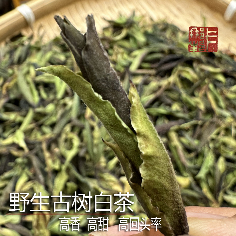 香甜云南白茶卡那邦头春茶