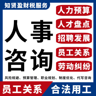 人事人力资源劳动关系薪酬绩效预算合法用工风险规避职业规划咨询