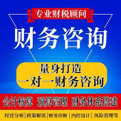 财税咨询记账报税工商注销一对一