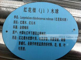 雕刻树木名称牌树木标语树名牌树木说明牌指示牌标识牌去向牌标牌