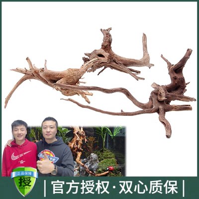 黑蜗牛鱼缸漂流木自然树干漂流木水族箱乐宠厂水族馆装饰沉木栖根