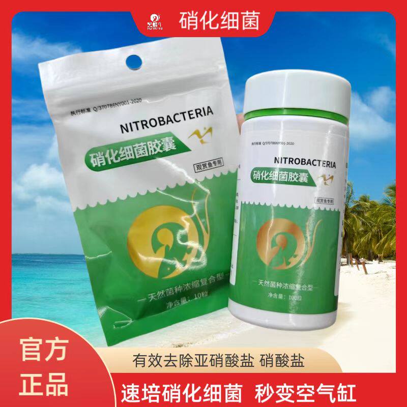 硝化细菌鱼缸用专用胶囊净水剂颗粒活菌干粉水质稳定净化水族鱼用