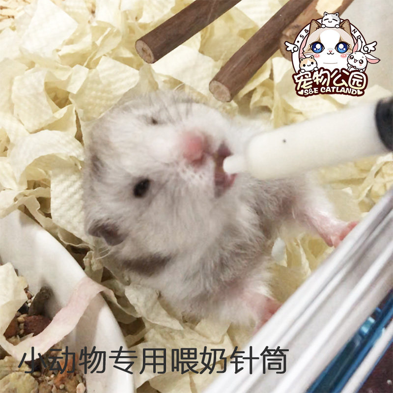 宠物公园 仓鼠金丝熊蜜袋鼯龙猫兔子喂药器 喂奶针筒 针管 喂食器|ruв категории животное/Животное питание и принадлежностей, хомяк класса и других малых животное, небольшой питомца принадлежностей (новая), питатель - от Buy2taobao.com для оказания профессиональной услуги покупки агента Taobao