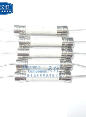 【高科美芯】 快熔F陶瓷保险丝6*32 保险管 圆柱型带脚6X32mm 20A