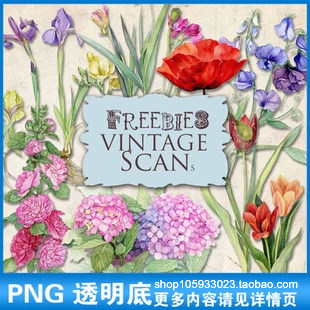 欧美复古高清手绘植物花朵淡雅油画插画png格式设计素材免抠图p78