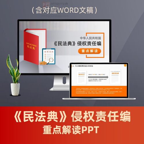民法典侵权责任编重点解读PPT 权益保护法律思维普法PPT模板