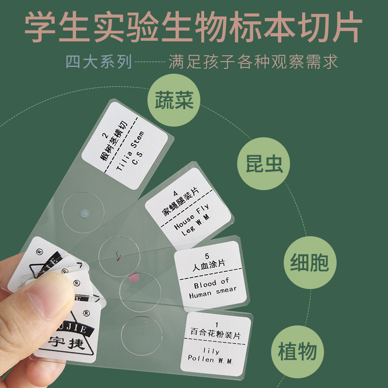生物显微镜标本切片儿童学生教学实验玻璃载玻片套装动物植物细胞|ruв категории игрушка/коляска/головоломка/блоки/модель, обучения/эксперимент/живопись канцелярские принадлежности, научный эксперимент - от Buy2taobao.com для оказания профессиональной услуги покупки агента Taobao