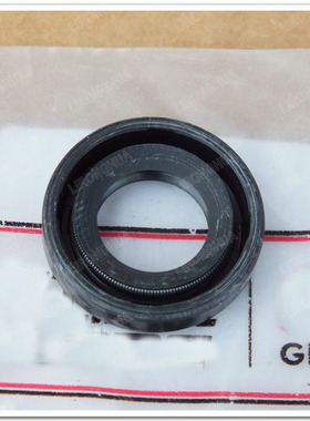 原厂追600 QJ600GS-3A BJ600GS-A 黄龙BN600 TNT600 变档轴油封