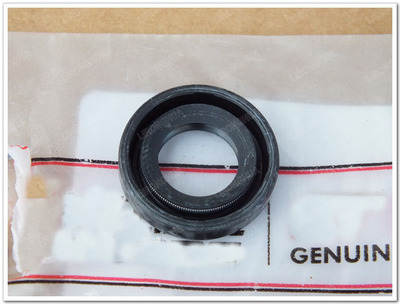 原厂追600 QJ600GS-3A BJ600GS-A 黄龙BN600 TNT600 变档轴油封