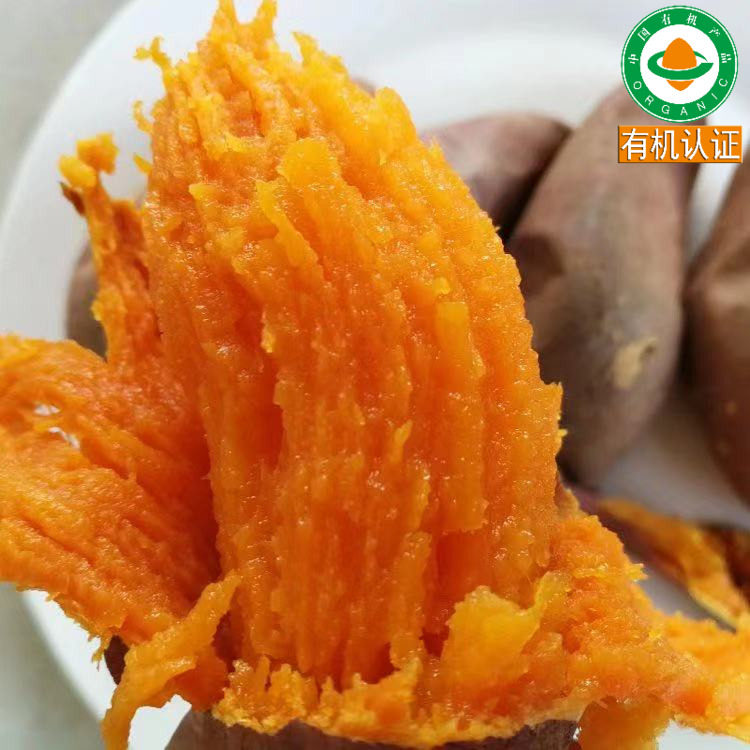 有机红薯番薯新鲜地瓜红皮西瓜红蜜薯烟蜜薯烟薯山地芋艿牛奶芋头,水产肉类/新鲜蔬果/熟食,番薯,淘宝优惠券,粉丝福利购,淘宝优惠卷