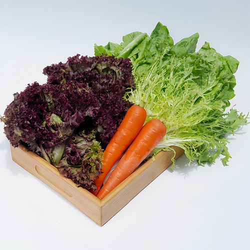 有机蔬果活力饮原料包蔬菜沙拉包