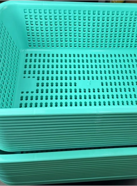 筛惠而信0039筐收纳菜篮绿色筛长方菜篮白色洗桌面塑料筛塑料篮筐