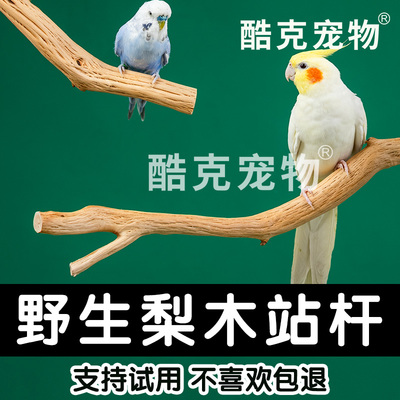鹦鹉天然笼梨木站杆小鸟专用