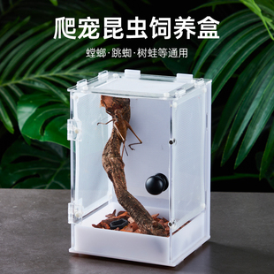 亚克力鸣虫饲养盒黄蛉竹蛉螳螂生态盒高款透明桌面观赏别墅盒子